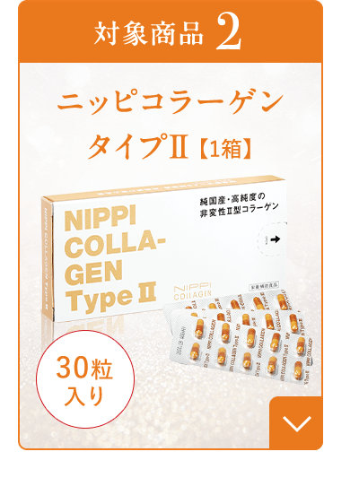 ニッピコラーゲン タイプII