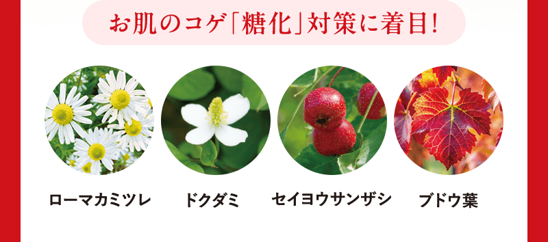お肌のコゲ「糖化」対策に着目！