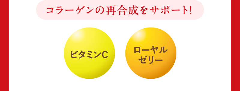コラーゲンの再合成をサポート！