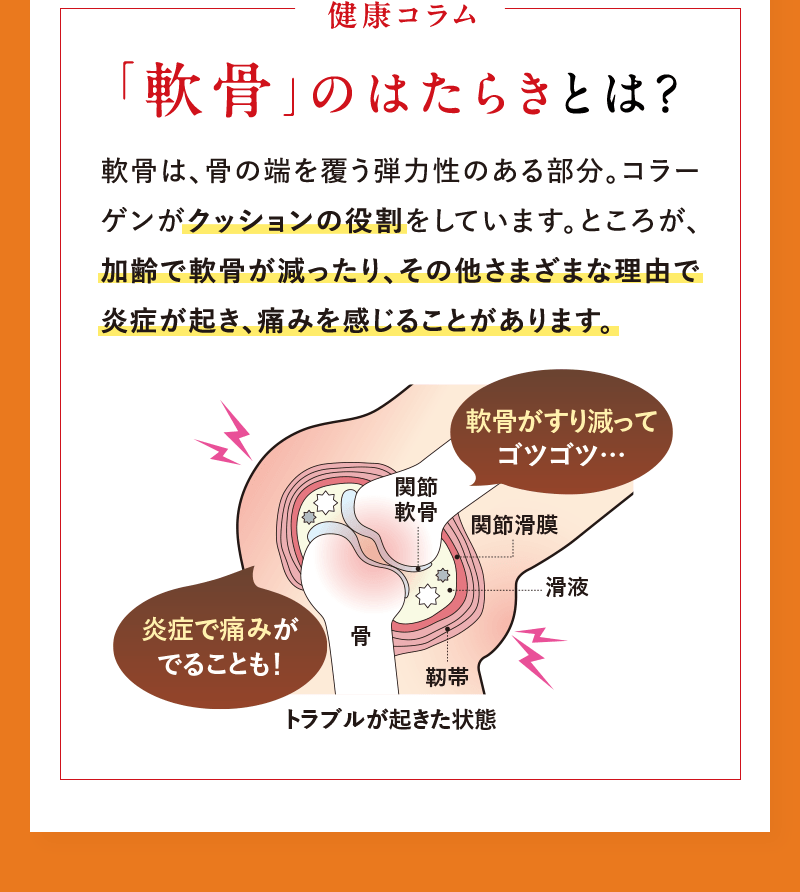「軟骨」のはたらきとは？