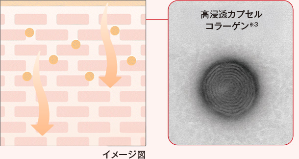 イメージ図