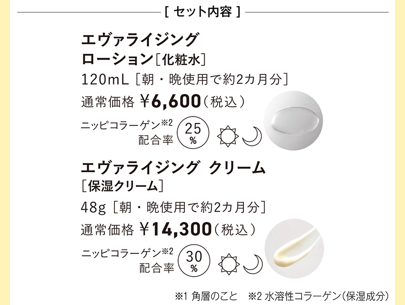 セット内容