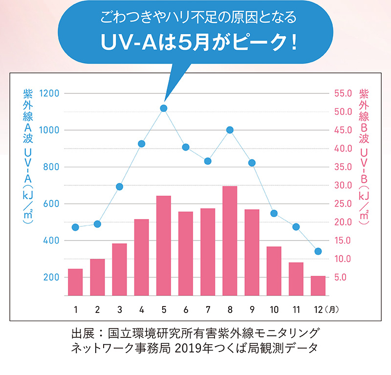 ごわつきやハリ不足の原因となるUV-Aは5月がピーク！