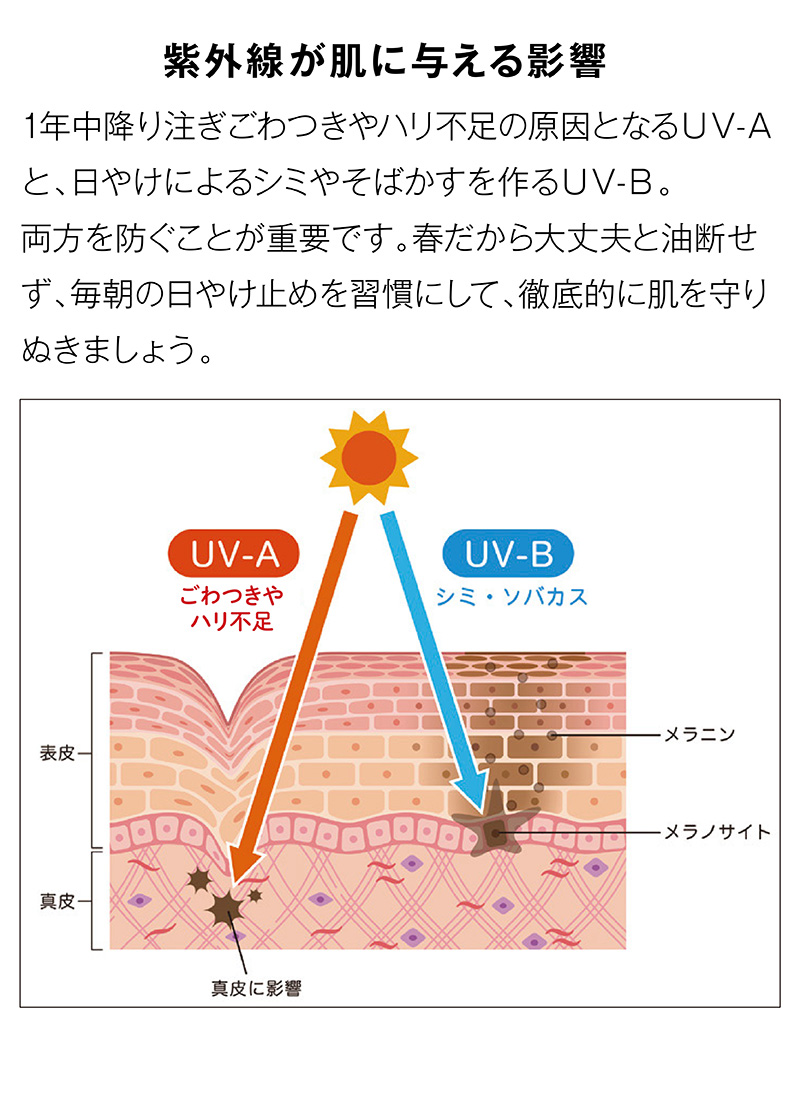 紫外線が肌に与える影響