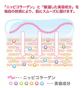 別格の「肌｣なじみと「うるおい」を実現