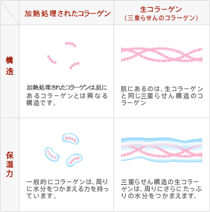 一般的なコラーゲンと生コラーゲンの比較