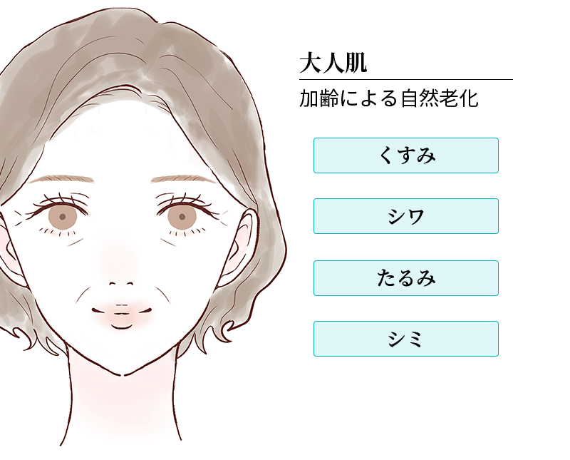 大人肌