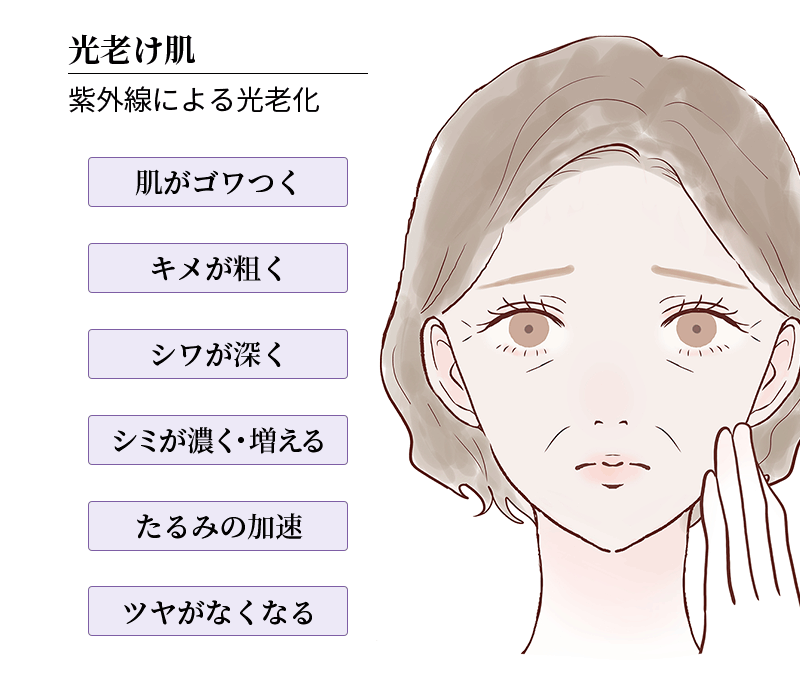 光老け肌