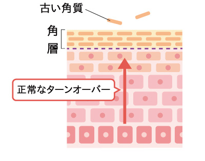 図1