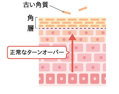 図1