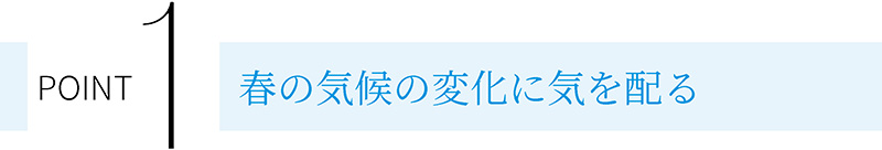 POINT1