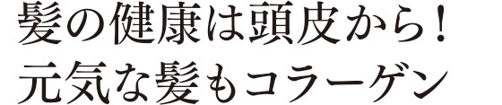 髪の健康は頭皮から！元気な髪もコラーゲン