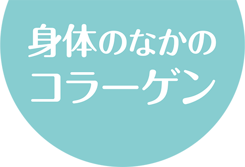 身体のなかのコラーゲン