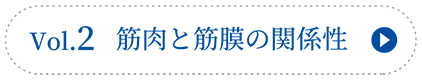 vol.2筋肉と筋膜の関係性