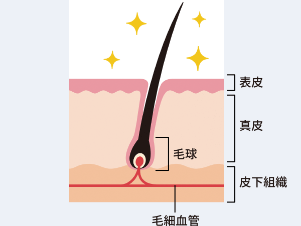 シャンプー