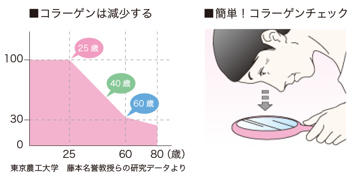 コラーゲンは減少する