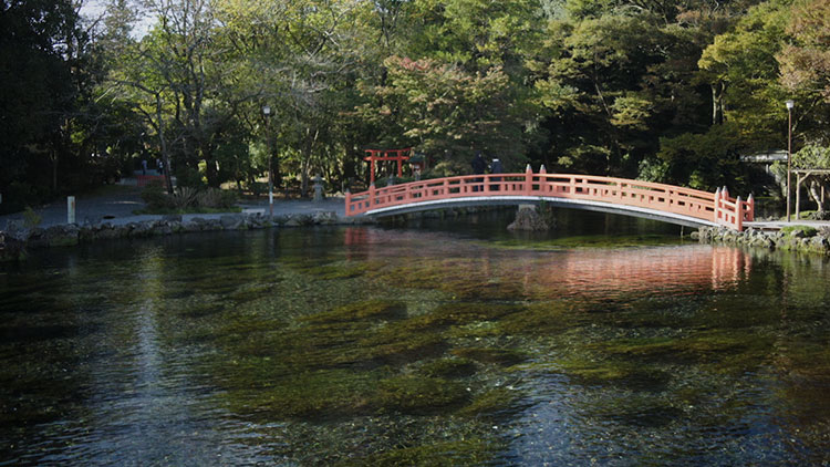 山梨の水