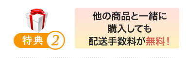 特典2 他の商品と一緒に購入しても配送手数料が無料！