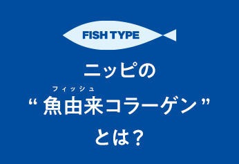 美容にも健康にも嬉しい魚由来コラーゲンの話