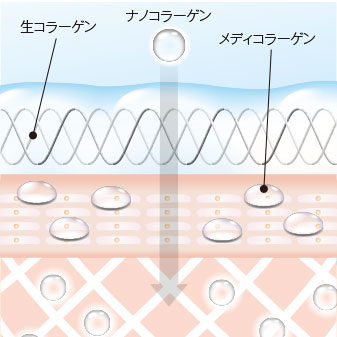 お試し用コレセンス スキンケア ジェル（10g）