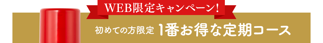 WEB限定キャンペーン!初めての方限定1番お得な定期コース
