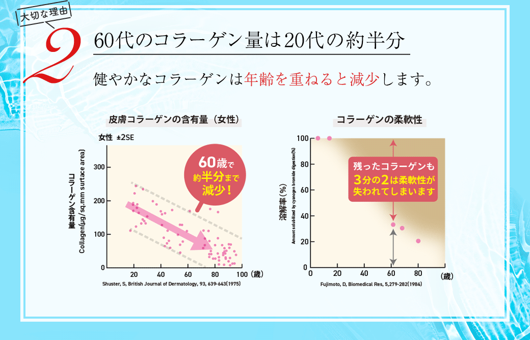 大切な理由2 60代のコラーゲン量は20代の半分 健やかなコラーゲンは年齢を重ねると減少します。