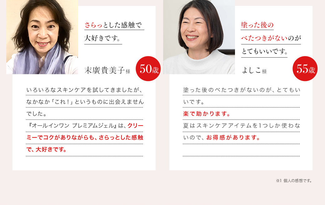 ニッピ オールインワンプレミアムジェル