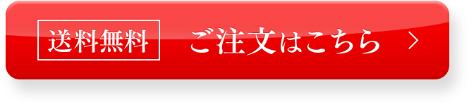 送料無料 ご注文はこちら
