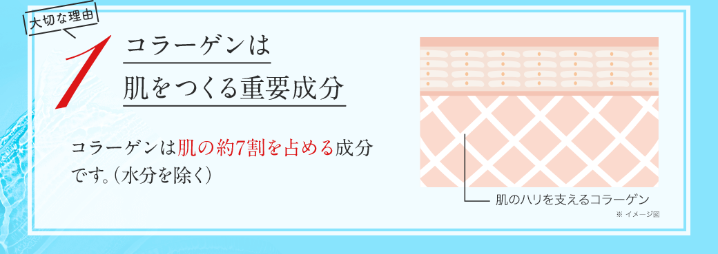 大切な理由1 コラーゲンは肌をつくる重要成分 コラーゲンは肌の約7割を占める成分です。（水分を除く）
