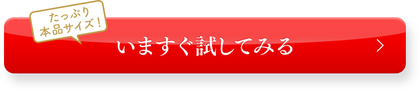 送料無料 ご注文はこちら