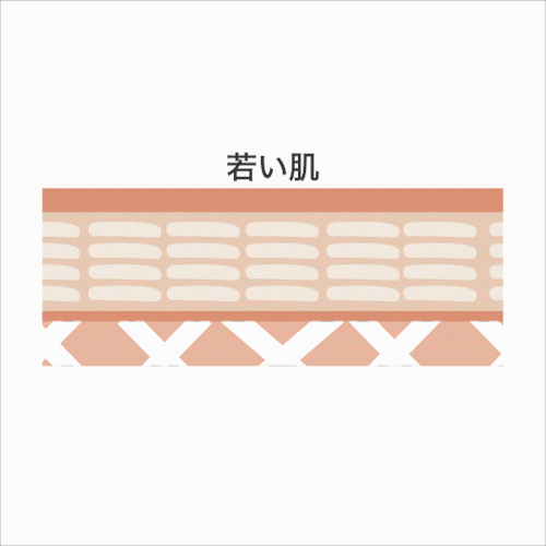 肌ダメージ