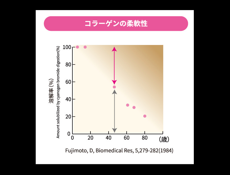 コラーゲンの柔軟性のグラフ