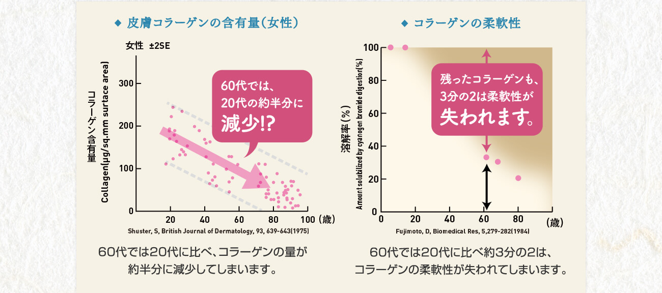 正常なコラーゲンの割合