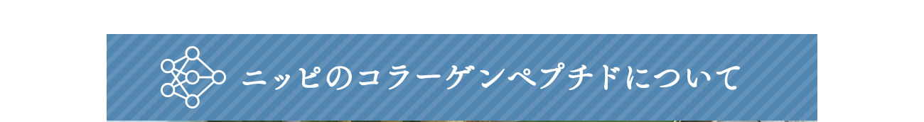 ニッピのコラーゲンペプチドについて