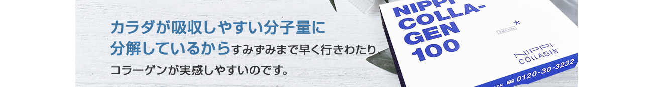 カラダが吸収しやすい分子量に 分解しているからすみずみまで早く行きわたり、 コラーゲンが実感しやすいのです。