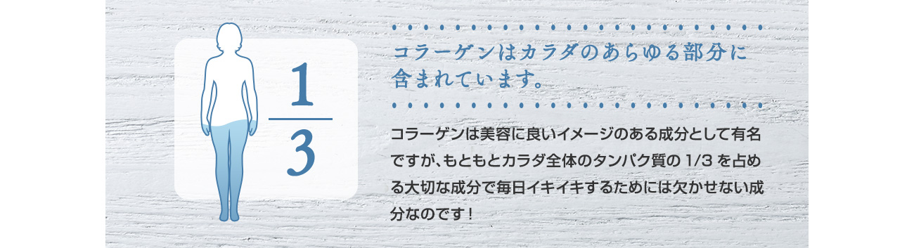 コラーゲンはカラダのあらゆる部分に 含まれています。