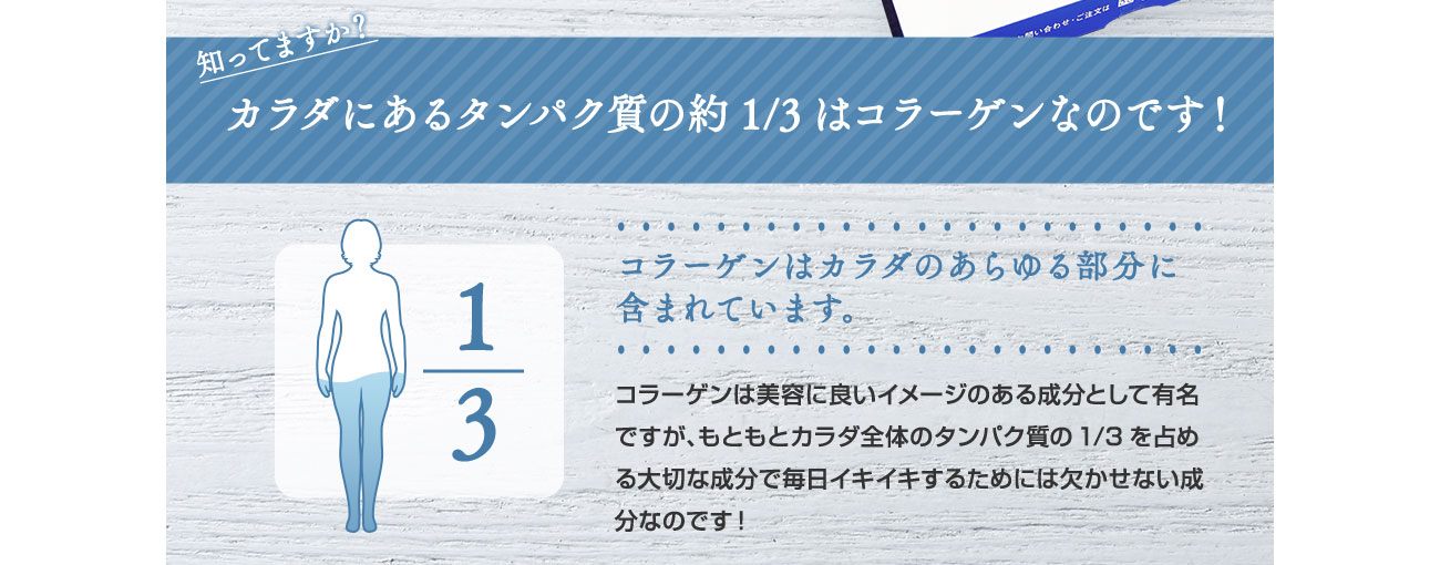 カラダにあるタンパク質の約1/3はコラーゲンなのです！