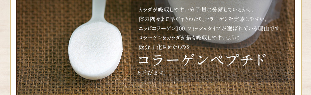 カラダが吸収しやすい分子量に分解しているから、 体の隅々まで早く行きわたり、コラーゲンを実感しやすい。 ニッピコラーゲン100が選ばれている理由です
