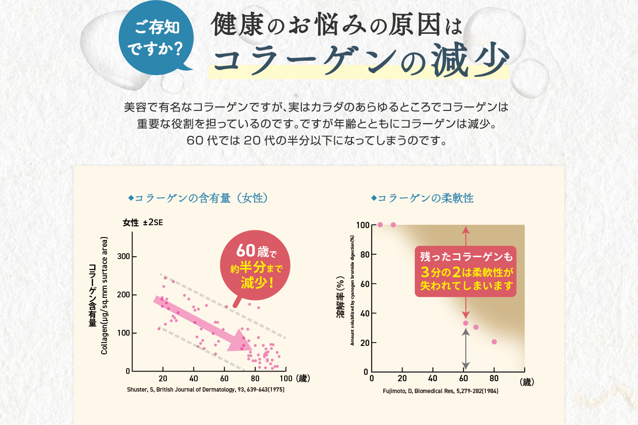 お試し用】ニッピコラーゲン100 フィッシュタイプ