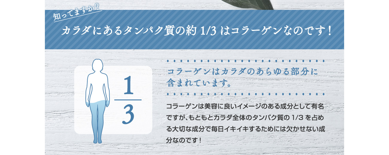 カラダにあるタンパク質の約1/3はコラーゲンなのです！