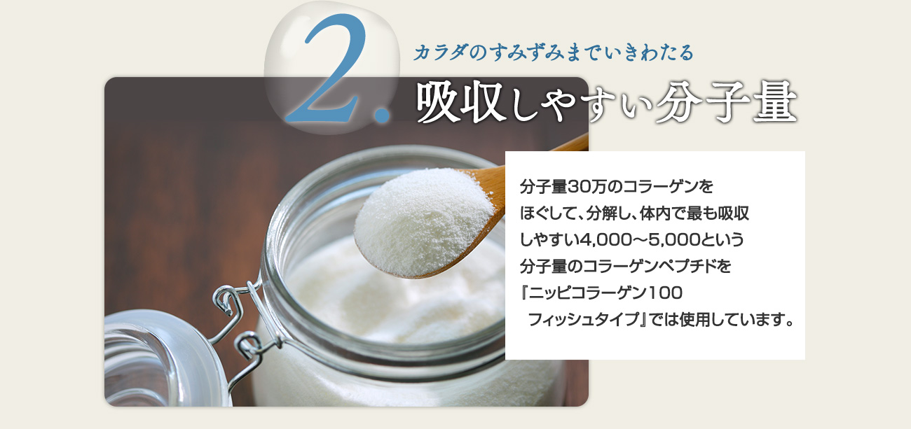 理由 2.吸収しやすい分子量