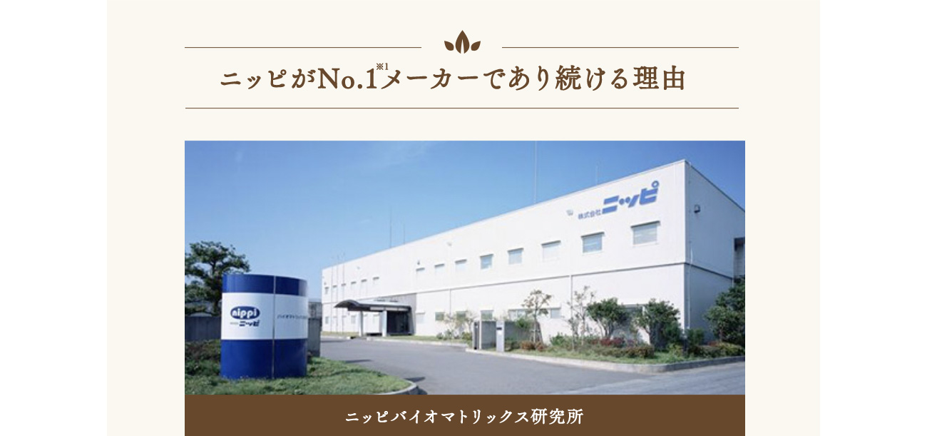 ニッピがNo.1メーカーであり続ける理由