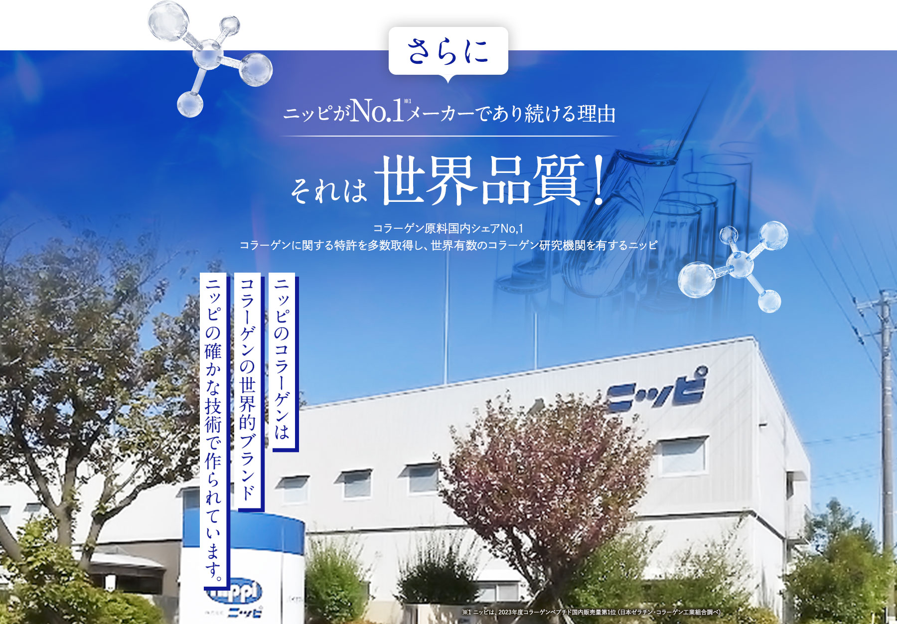 ニッピがNo,1メーカーであり続ける理由 それは世界品質！