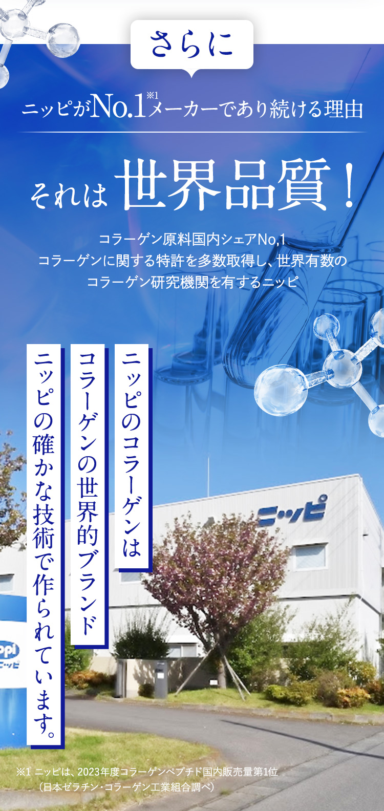 ニッピがNo,1メーカーであり続ける理由 それは世界品質！