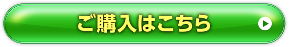 ご購入はこちら