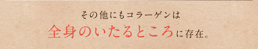 その他にもコラーゲンは 全身のいたるところに存在。