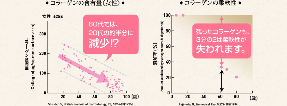 60代では、20代の約半分に減少!?　残ったコラーゲンも、3分の2は柔軟性が失われます。