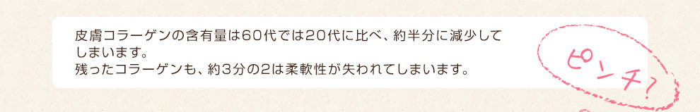 人のコラーゲンは25歳から減少し始め、40代ではすでに半分。 さらに50代では4割、60代では約1/3近くまで減少してしまいます。