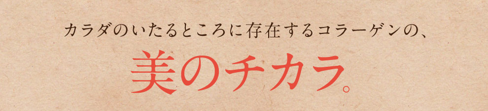 カラダのいたるところに存在するコラーゲンの、 美のチカラ。 