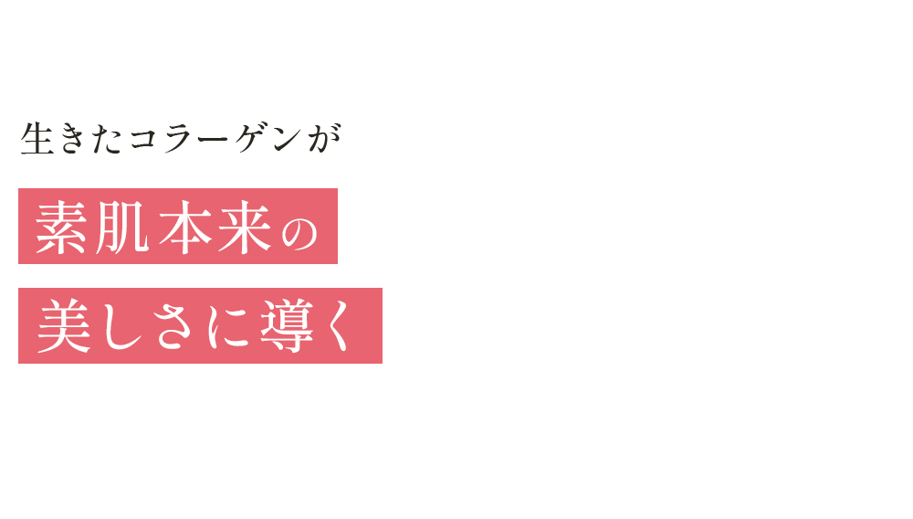 生きたコラーゲンが10年後の肌にもハリと潤いを